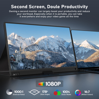 Hot Sell 15.6 Inch 1920*1080P With Type-C USB the Portable Monitor for Laptop Dual Screen Triple