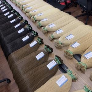 สีใหม่มีในสต็อก: ผมต่อของมนุษย์ผมตรงธรรมชาติสีโทนแสงเวียดนามที่มีคุณภาพสูง - Product Image 1