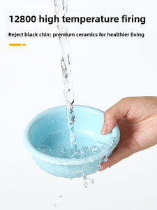 ชามอาหารและน้ำสำหรับแมวแบบยกสูง น่ารัก เป็นมิตรกับสิ่งแวดล้อม ผลิตจากเซรามิกและโลหะ ขายส่ง - Product Image 2