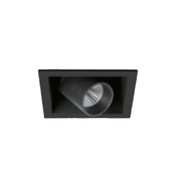Projecteur encastrable Led amovible 20W, bordure noir/blanc, réglable, sans garniture