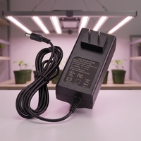 Adaptateur secteur standard australien 12V 4A SAA RCM C-Tick EN62368 Prise AU Alimentation 12V 4A 48W