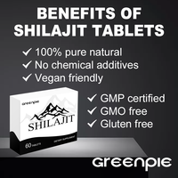Greenple SHILAJT Comprimés Complément alimentaire Propriété Usine Maturité Technique Pur Himalaya Shilajeet Acide Fulvique