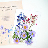 INTODIY – sac de fleurs séchées mixtes Offre Spéciale, chrysanthème de feuille de fleur sèche colorée pour les décorations de mariage faites à la main à la maison