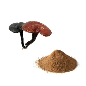 Rifornimento della fabbrica organico reishi fungo estratto potenza 10%-50% polisaccaridi ganoderma lucidum lingzhi fungo