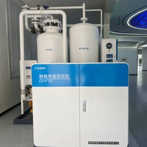 Nouvelle machine de production d'oxygène VPSA PSA sur site conditionne les composants PLC pour l'usine de production d'oxygène hospitalière - Product Image 1