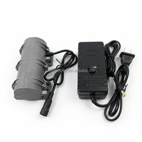 R3650 Massage-Vibrationsmotor-Sets DC12V 24V Leistung 10W Geschwindigkeit 3200 U/min Mikro 3650 Vibrationsmotor