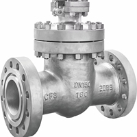 Vanne à opercule DN25 en acier inoxydable CF8 avec joint d'étanchéité en acier inoxydable SS316, norme ANSI B16.5