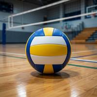 Ballon de volley-ball en TPE cousu à la machine, taille 5, léger, pour terrain intérieur, entraînement de groupe et jeux de loisirs pour seniors