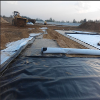 Rete 1mm & 2mm HDPE rivestimento geomembrana per laghetto