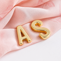 Lettres coulissantes en métal doré clair avec breloques personnalisables pour collier de chien, laisse, écharpe et décorations