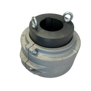 <span class=keywords><strong>T10</strong></span> loạt falk thay thế 1090t Thép linh hoạt khớp nối con rắn mùa xuân trục khớp nối, được sử dụng cho bộ phận truyền động - Product Image 2