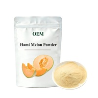 Poudre de fruits en gros de qualité alimentaire : Poudre de melon Hami naturelle et Poudre de jus de melon Cantaloup