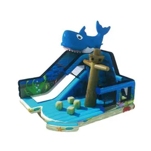 2019 New Design Ocean Theme Wet N Dry Inflatable Water Slide Hot Sale Bouncy With Slip Large Bounce