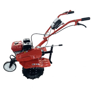 Motoculteur à essence 170F 7 CV, cultivateur agricole, mini-motoculteur de jardin, tracteur à conducteur marchant - Product Image 5