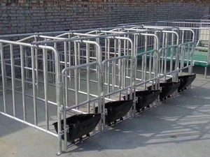 Caisse de gestation pour porcs galvanisée à chaud personnalisée <span class=keywords><strong>Cage</strong></span> de position de préganace à 10 rangées pour élevage de porcs - Product Image 2