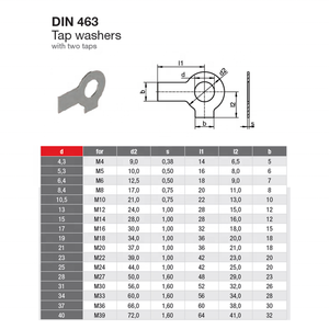 M4 ~ M39 A4 Thép Carbon/Thép Không Gỉ <span class=keywords><strong>DIN</strong></span> <span class=keywords><strong>463</strong></span> M10 Khóa Hai <span class=keywords><strong>Tab</strong></span> Máy Giặt - Product Image 5