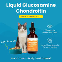 Glucosamine pour chats, gouttes liquides 59 ml, MSM, chondroïtine, aide au bien-être, taurine, booster de mobilité des articulations des chats