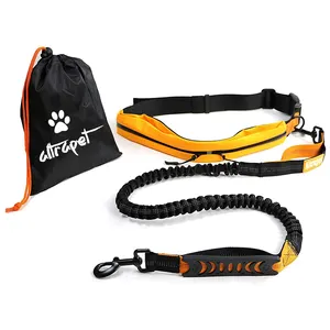 Leash For 2 Dogs Wholesale Custom Logo Handsfree Smart Pet Leash With Bag Reflective Hands Free Dog Bungee Leash For Running Dog