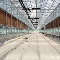 Serre agricole intelligente en verre Sinok pour légumes/fraises/tomates, serre verticale avec système hydroponique