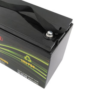 Di Fabbrica su Misura Profonda Del Ciclo Lifepo4 12 V 100ah Lipo-Akku per Ev E di Alimentazione - Product Image 3