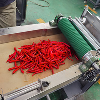 Automatische elektrische pepersnijder 220V Chili Chopper Rode Chili Snijmachine voor paprika ringen Groene pepersnijder