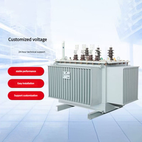 Transformator Distribusi Tiga Fasa 100kVA 50/60Hz Tegangan Khusus untuk Peralatan Pasokan Daya Industri