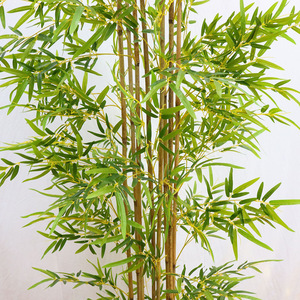 Plante artificielle en <span class=keywords><strong>bambou</strong></span> miniature réaliste en plastique en pot, sans entretien, faux <span class=keywords><strong>bambou</strong></span> porte-bonheur pour la décoration de bureau, d'hôtel, de hall - Product Image 2