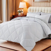 Juego de Ropa de Cama Acolchada de Lujo de 3 Piezas, Reversible, Cálida, Moderna, para Hotel y Hogar, de Microfibra de Poliéster, para las Cuatro Estaciones, Personalizable