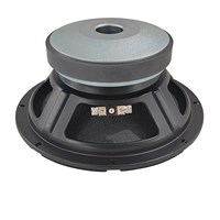 Haut-parleur professionnel de 10 pouces avec woofer de 156 mm en ferrite, bobine vocale de 2,5 pouces, AES 300W pour DJ, bar, club, performance et spectacle