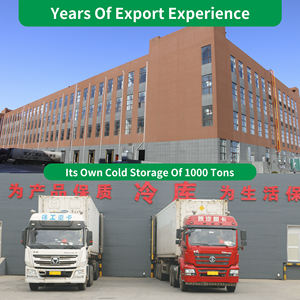 Origine Chine 30G à vendre prix préférentiel légumes farcés crunchy hôtel petit déjeuner restaurant végétarien spring rolls - Product Image 4