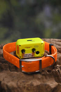 वास्तविक समय 4 ग्राम जीपीएस ट्रैकिंग डॉग कॉलर, गुक्सोटा इकु12 टी प्रो के साथ और ई-शॉक प्रशिक्षण के साथ ई-शॉक प्रशिक्षण के साथ - Product Image 6