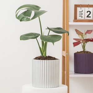 Nordic semplice cemento vaso di fiori <span class=keywords><strong>grande</strong></span> vaso di fiori gres retro balcone cortile ornamento per interni arredamento - Product Image 3