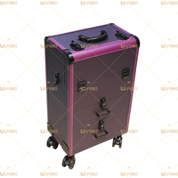 Professionnel maquillage de roulement chariot organisateur cas