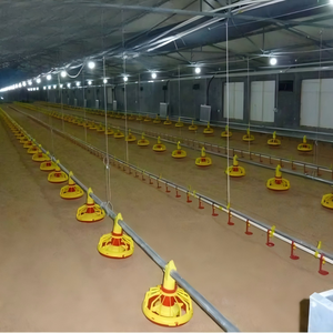 Maison d'Élevage de Poules Pondeuses Préfabriquée Économique pour 10000 Poulets en Afrique - Product Image 3