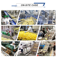 Automatische friet-, fruit- en groenteverwerkingsmachine voor standaardproductie, 300-500 kg/uur, geschikt voor professionele B2B-toepassingen.