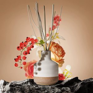 Difusor <span class=keywords><strong>de</strong></span> caña líquida <span class=keywords><strong>de</strong></span> cerámica para aromaterapia, paquete personalizado/tamaño/color <span class=keywords><strong>de</strong></span> retales, sin <span class=keywords><strong>fuego</strong></span> - Product Image 6