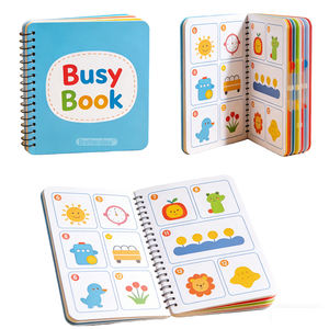 Livre d'activités éducatives pour enfants, cartes flash en papier, reconnaissance des lettres et des mots, puzzle, livre silencieux pour l'apprentissage des couleurs, jouet très vendu - Product Image 2