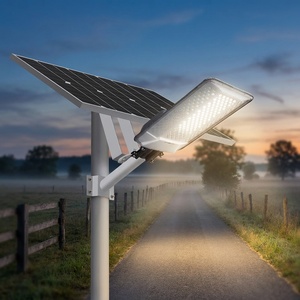 <span class=keywords><strong>Lampe</strong></span> solaire de sécurité extérieure haute puissance en silicium polycristallin à charge 50 % plus rapide, OEM ODM, pour projets routiers - Product Image 2