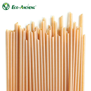 Sinh thái thân thiện phân hủy sinh học compostable mía bã mía dùng một lần uống rơm cho cắm trại - Product Image 1