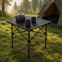 Table pliante carrée moderne à plateau roulant, portable, en acier allié noir, pour camping, pique-nique, plage, jardin, patio, barbecue, parc, voyage