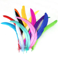 Plume de coq de 30-35 cm pour artisanat, bricolage, costume, chapeau, accessoire, fête, carnaval, décoration de mariage