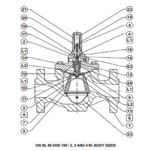 Soupape de sécurité montée sur châssis chinois LR125 FISHER, régulateur de pression pour gaz, OEM, alliage/acier inoxydable - Product Image 3