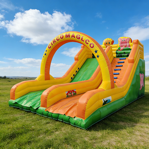 Château gonflable à thème de cirque magique Douerfei avec toboggan, en PVC, capacité de 500 kg, respectueux de l'environnement, pour usage commercial - Product Image 1