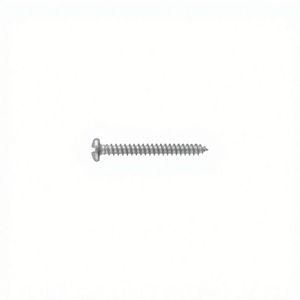TA1 TA2 สกรูไทเทเนียม สกรูหัวกลม สกรูไทเทเนียมบริสุทธิ์ M1 M1.4 M1.6 M2 M2.5 M8 - Product Image 2