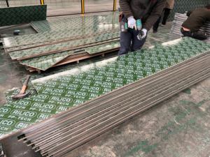 Paneles de Contrachapado de Plástico Verde PP de Grado de Construcción con <span class=keywords><strong>Revestimiento</strong></span> de Película Protectora de Plástico - Product Image 1