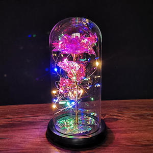 2023 san valentino regali <span class=keywords><strong>decorazioni</strong></span> per la casa eterno artificiale fiore secco <span class=keywords><strong>con</strong></span> Led <span class=keywords><strong>Rose</strong></span> in cupola di vetro - Product Image 5