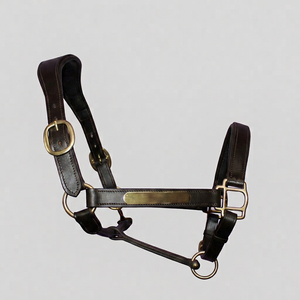 Cabestro de cuero de alta calidad para entrenamiento ecuestre de Divine International - Product Image 1