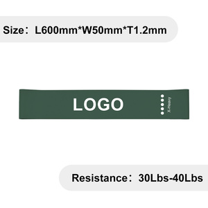 Custom Resistance Loop Exercise <b>Bands</b> Set of 5, Elastic Fitness <b>Bands</b> for Stretch Therapy, <b>Workout</b> Training <b>Bands</b> with Carry Bag - Product Image 6