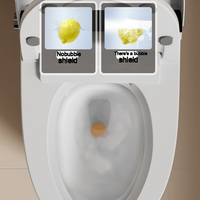 Toilette intelligente de luxe avec télécommande, siège à fermeture douce automatique, chauffage du siège, drainage en S, cuvette ronde monobloc
