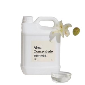 Jus de <span class=keywords><strong>fruit</strong></span> d'<span class=keywords><strong>Amla</strong></span> de haute qualité, saveur acide, extrait de Phyllanthi, arôme industriel, arôme naturel, pureté à 100%, pour adultes et enfants - Product Image 1